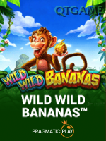 Kelebihan dan Kekurangan Bermain di qtgame